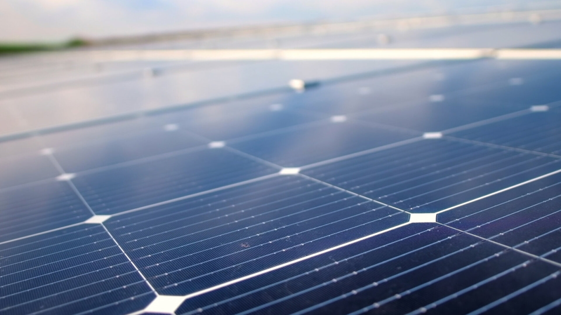 Zehnder, Sustainability, report ,Focus stage image, web